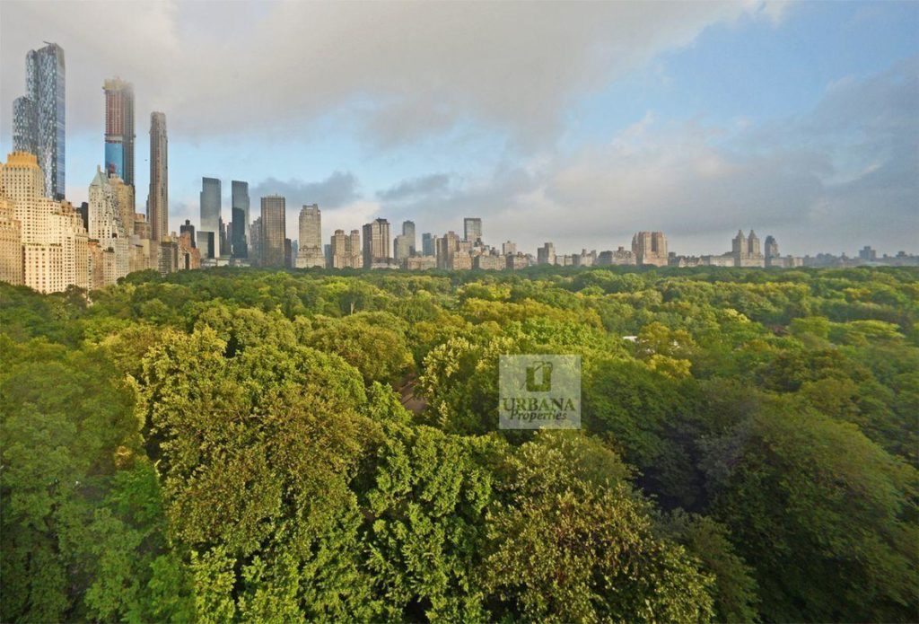 Central Park trees and city view
